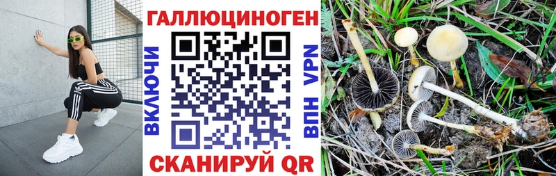 Псилоцибиновые грибы MAGIC MUSHROOMS  Пересвет 